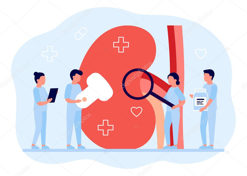 Kidney healthcare, urology and nephrology. Doctors doing medical research, examination, check health. Concept of renal failure, diseases kidney. Medical kidney disease treatment. Vector