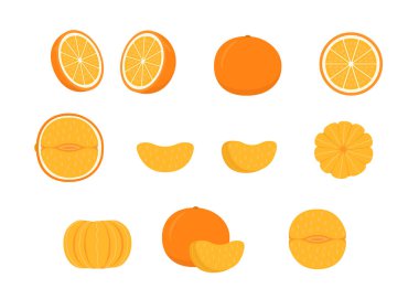 Olgun turuncu mandalina seti. Yarısını kes, bir kısmını kes ve bir parça mandalina dilimini kes. Mandalina, mandalina ya da mandalina. Vitaminli taze ekşi narenciye. Vektör illüstrasyonu beyaz arkaplanda izole edildi