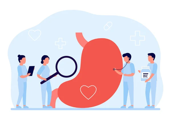 Mide ve karın bakımı, karın kontrolü doktoru. Gastrointestinal hazımsızlık, helikobacter, hastalık ve mide rahatsızlığı. Gastroenteroloji, sistem incelemesi, sağlık hizmetleri. Vektör