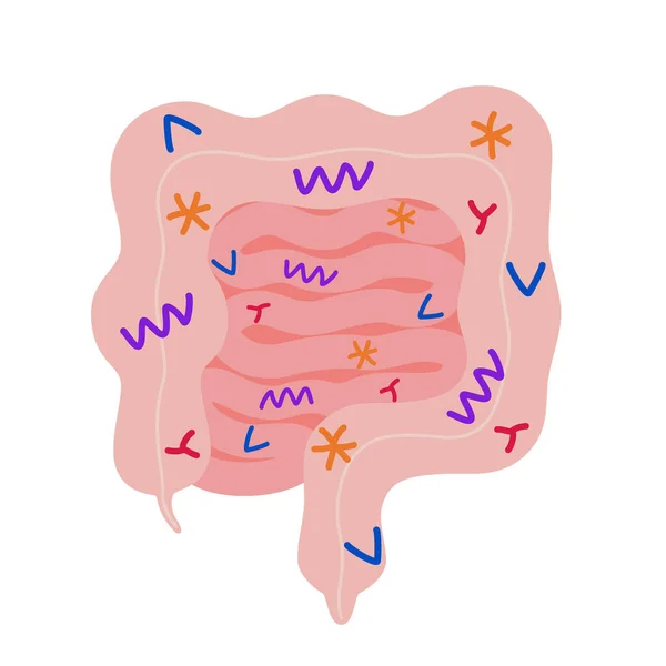 Bad microflora intestine, unhealthy gut. Inflamation and pain internal digestive bowel system. Harmful bacteria in inside gastrointestinal organ. Vector cartoon illustration — Stock Vector