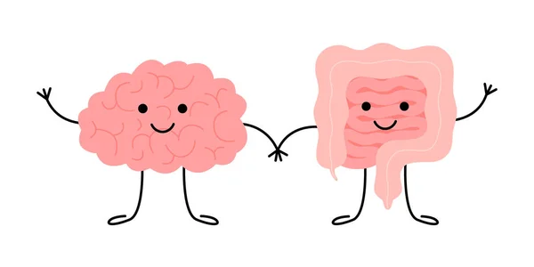 Connection of cute healthy happy brain and intestine gut characters. Relation health of human brain and gut, second brain. Unity of mental and digestive. Vector flat cartoon illustration — Stock Vector