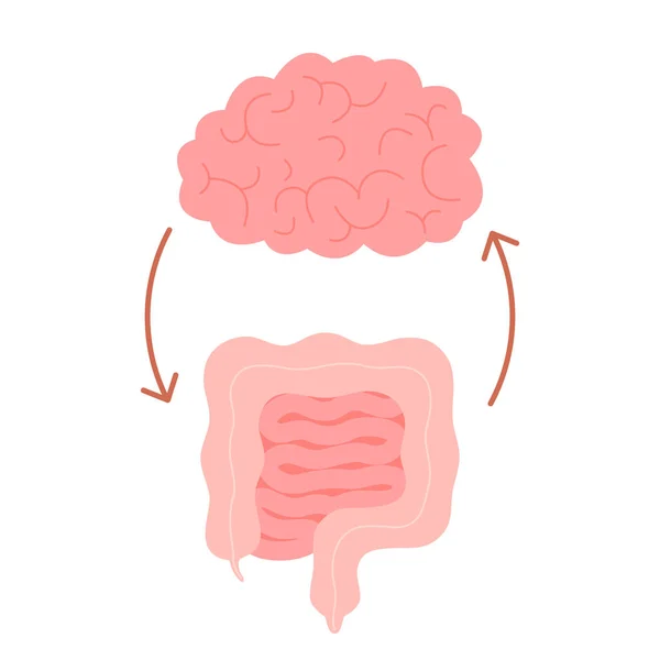 可爱健康快乐的大脑与肠胃特征之间的联系 人脑与肠胃 二脑健康的关系 精神与消化的统一 矢量卡通画 — 图库矢量图片