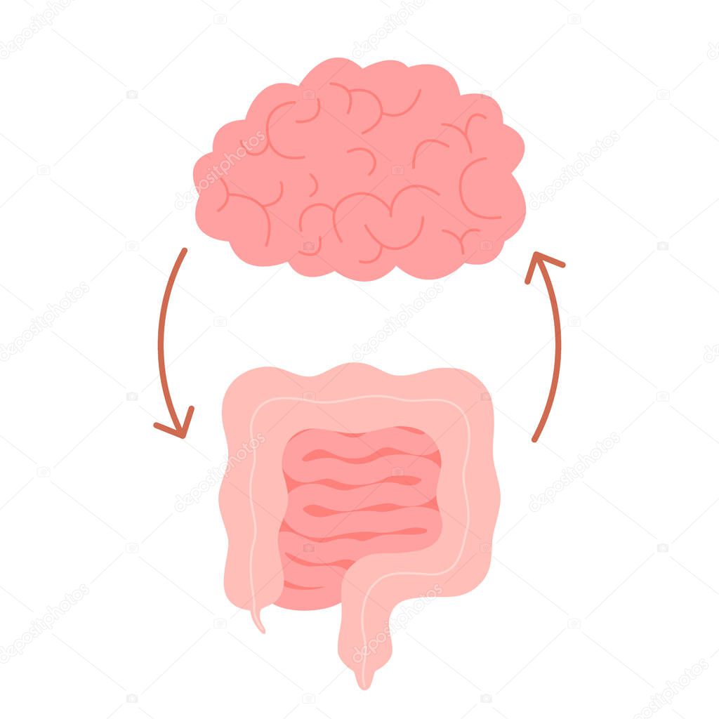 Connection of cute healthy happy brain and intestine gut characters. Relation health of human brain and gut, second brain. Unity of mental and digestive. Vector cartoon illustration