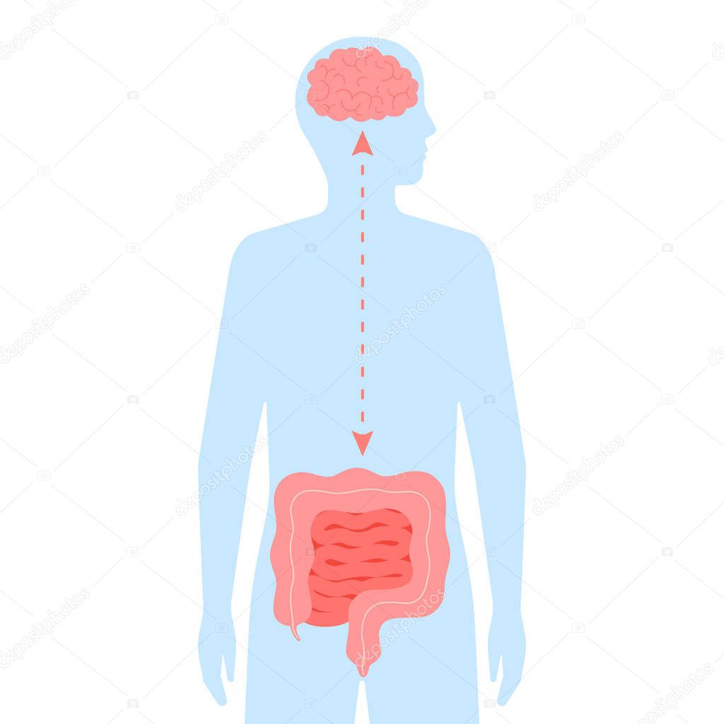 Relation health of brain and intestine gut. Connection healthy of human brain and gut, second brain. Unity of mental and digestive. Vector flat illustration