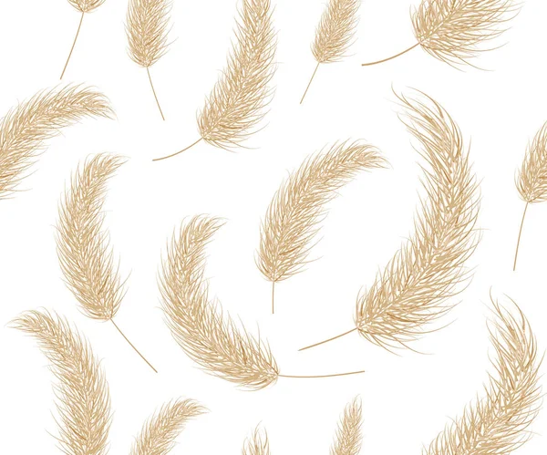 Pampák száraz füves boho mintája. Branch zökkenőmentes háttér pampa fű. Panicle, tollvirág fej. Pampafű dísznek. Vektor — Stock Vector