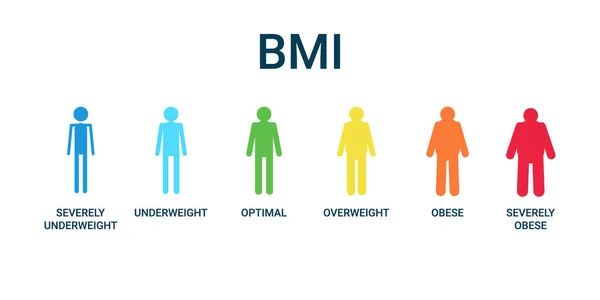 Bmi kategorier diagram, body mass index och skala massa människor. Svår undervikt, undervikt, optimal, övervikt, fetma, allvarligt feta grafkontroll hälsa. Vektorillustration — Stock vektor