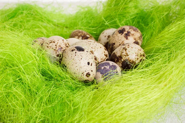 Nido de canasta verde Pascua con huevos de codorniz — Foto de Stock