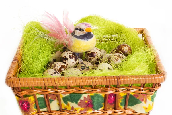 Bird sitting in a nest with Easter quail eggs on a white background — Stock Photo, Image