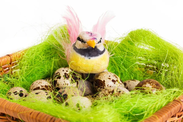 白地に明るい鳥イースター ウズラの巣に座っている卵します。 — ストック写真