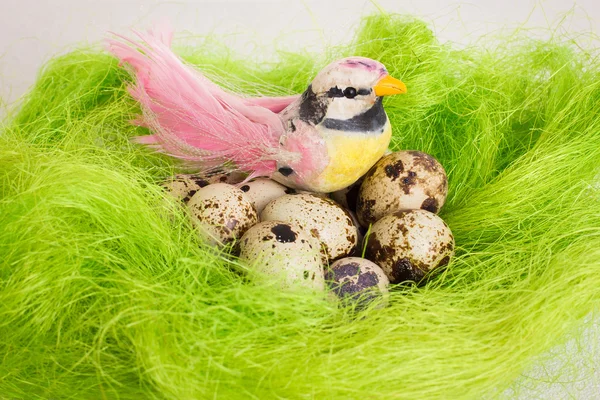 イースターのウズラの卵と巣に座っている明るい鳥 — ストック写真