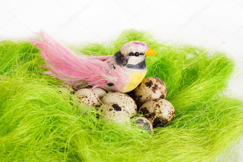 A little bird sitting in a nest with Easter quail eggs on a white background