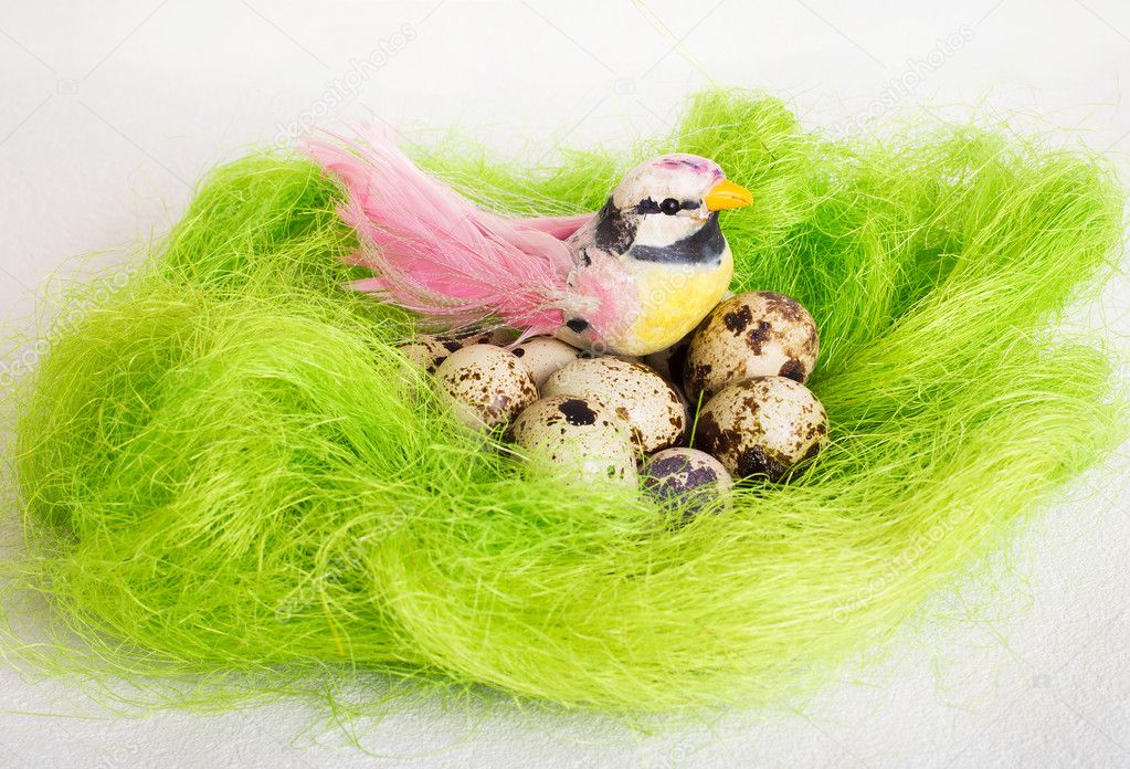 A little bird sitting in a nest with Easter quail eggs on a white background