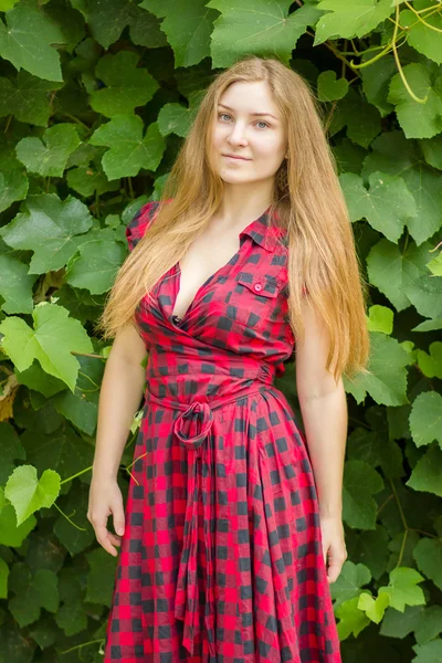Portrait d'une belle jeune femme aux longs cheveux bruns Fille posant contre un mur de feuilles vertes — Photo