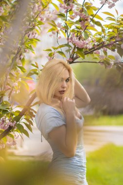 Kiraz çiçeklerinin altında dramatik bakışları olan sarışın kadının göz kamaştırıcı portresi. Moda pozu, yumuşak odak ve ilkbahar arkaplanı.