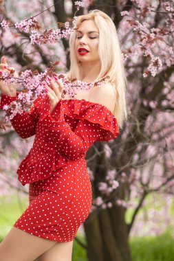 Sarışın kadın elinde kiraz çiçeği dalıyla bahar parkında pembe çiçeklere hayran. Kırmızı benekli elbise içinde romantik bir açık hava portresi..