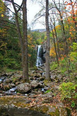 Güzel manzara - dökülen sular.
