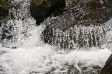 산 스트림의 맑은 물의 흐름.