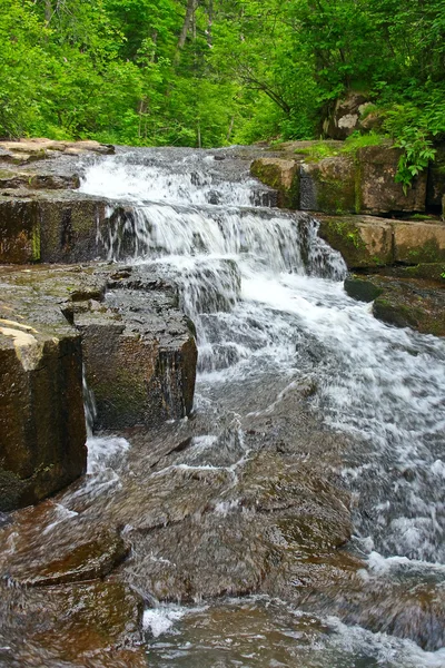 Stroom van heldere water van een bergbeek. — Stockfoto