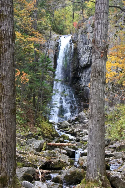 Beautiful sight - falling water falls. — Stock Photo, Image