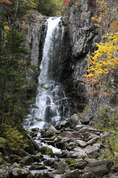 Beautiful sight - falling water falls. — Stock Photo, Image