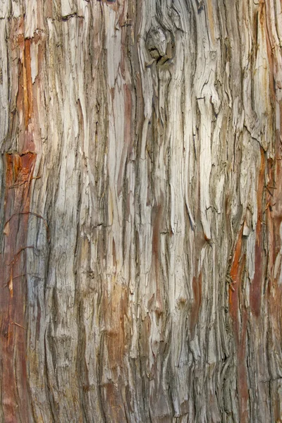 Unusual texture of the surface of old wood — Stock Photo, Image
