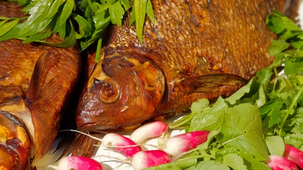 Gerookte vis met jonge radijs en peterselie — Stockfoto
