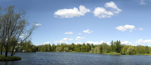 景观湖与树视图 免版税图库照片