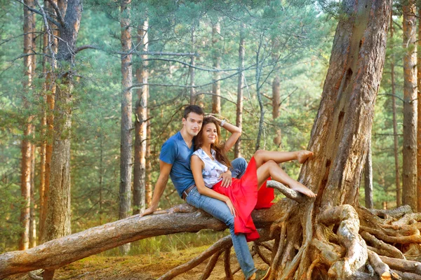 Jovem casal ter namoro no parque — Fotografia de Stock