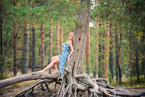 Beautiful young  woman posing on the roots of pine trees — Stock Photo, Image