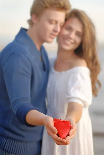 Couple of lovers. Man presents flower — Stock Photo, Image