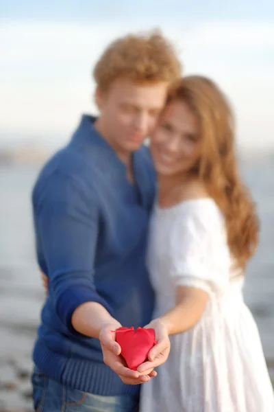 Couple of lovers. Man presents flower — Stock Photo, Image