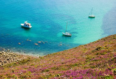 Beautiful view from Cap Frehel hills clipart