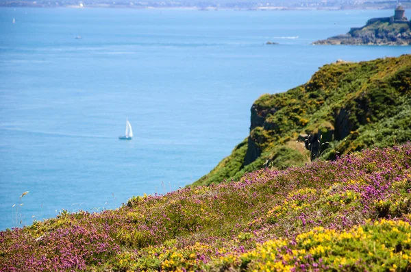 Cap Frehel Hills güzel manzara — Stok fotoğraf