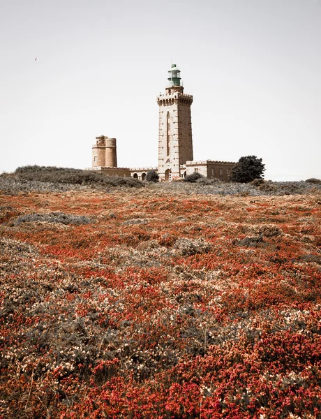 Phare sur le Cap Frehel et les champs — Photo