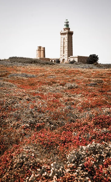 Phare sur le Cap Frehel et les champs — Photo