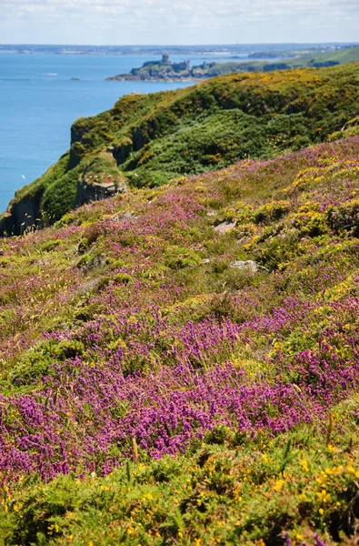 Beautiful view from Cap Frehel hills Stock Photo