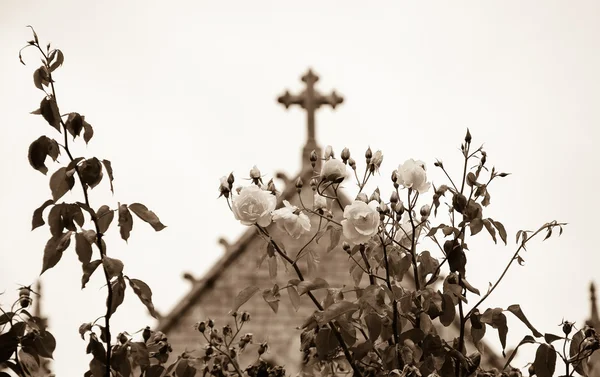 Cross and roses. A church in Dinan — Stock Photo, Image