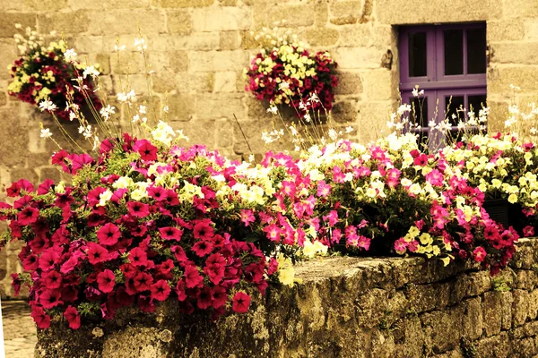 Antigua casa de piedra decorada con coloridas flores de petunia —  Fotos de Stock