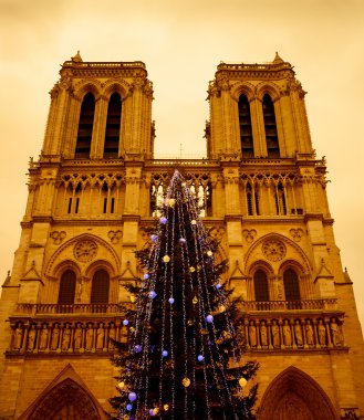 Noel ağacı önünde Notre Dame Katedrali