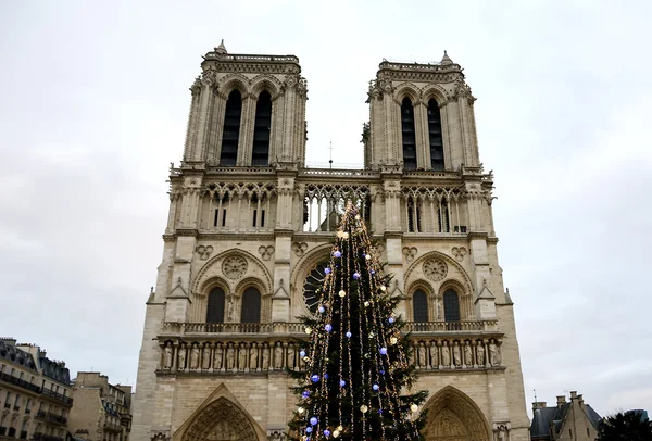 Árvore de Natal em frente à catedral de Notre Dame — Fotografia de Stock