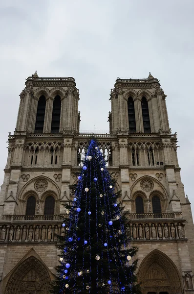 Kerstboom voor de Notre Dame kathedraal — Stockfoto