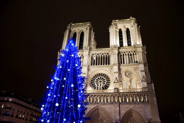 Árvore de Natal em frente à catedral de Notre Dame — Fotografia de Stock
