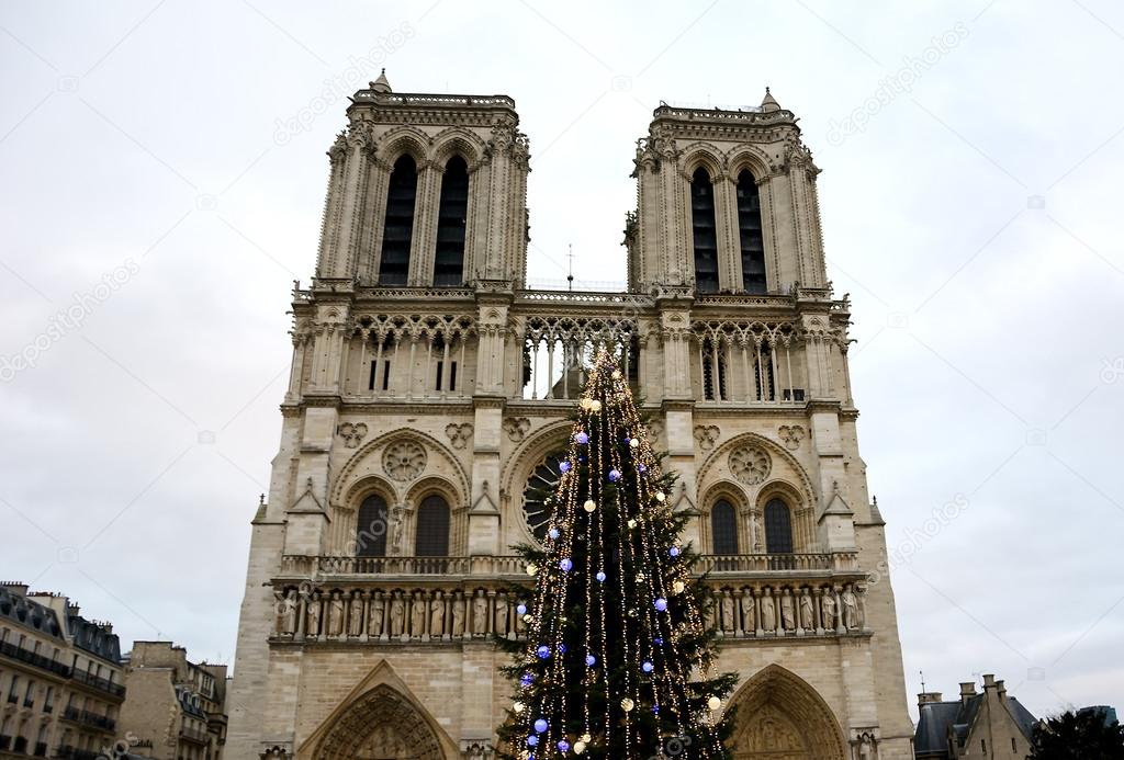 Christmas tree in front of the Notre Dame cathedral