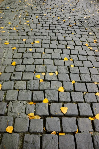 Autumn leaves on Parisian street. — Stock Photo, Image