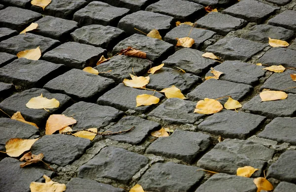 Autumn leaves on Parisian street. — Stock Photo, Image
