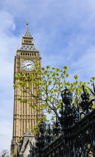 Big Ben bak parken om våren. London – stockfoto