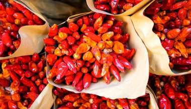 rialto gıda Market kuru biber, demet