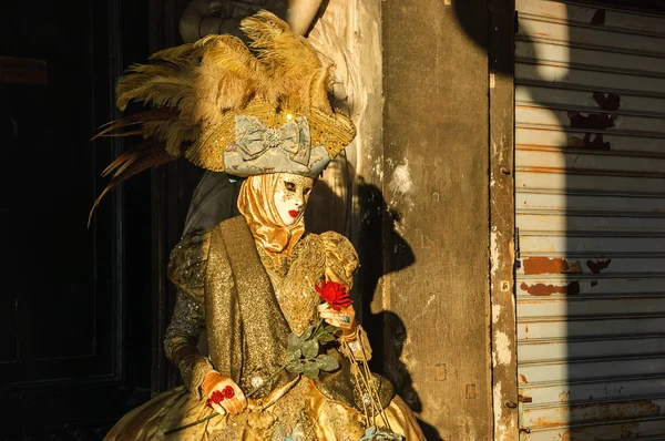 Ρομαντικό μάσκα με τριαντάφυλλο κατά τη διάρκεια του καρναβαλιού. — Φωτογραφία Αρχείου