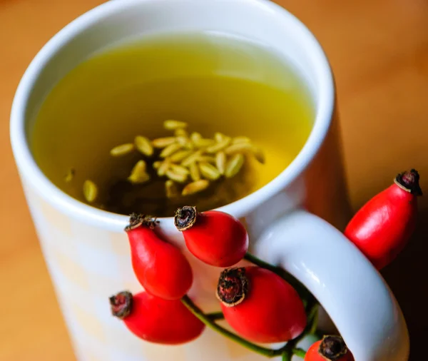 Xícara de chá de erva-doce com sementes com decoração de rosa mosqueta e castanha. ângulos sombreados. Foco seletivo nas roseiras . — Fotografia de Stock