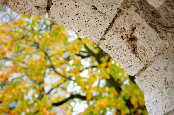 View through the stone arch on the autumnal park. (Blois, France) Selective focus on the arch. Shallow depth of field. — Stock Photo, Image